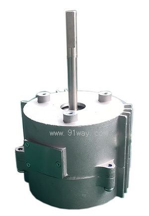 100ZW001 DC permanent magnet brushless motor