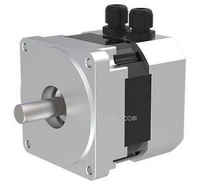 83ZWS01-02 DC permanent magnet brushless motor