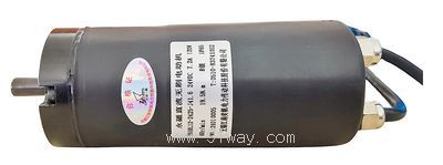 Y61BL12-2425-J41.6 type brushless DC deceleration motor