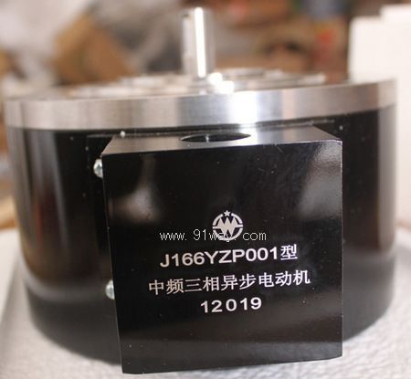 J166YZP001��Ƶ�����첽�綯��