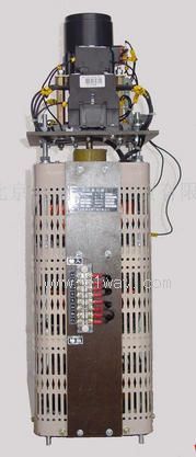 TESGC2-3������3KVA�綯��ѹ��