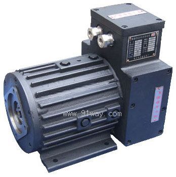 Explosion proof DC traction motor