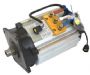 XYQ-5-1HV Sightseeing car AC traction motor